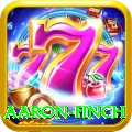 aaron finch Turbo v1.8.0