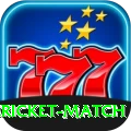 all cricket match VIP v5.6.8