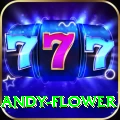 andy flower Max v3.9.2