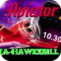 antigua hawksbill Plus v2.6.0