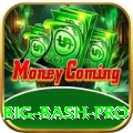 big bash - Mega Earning App