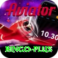 bingo Master v2.7.9