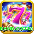 david gower Turbo Pro v1.0.5