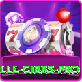 herschelle gibbs Money Prime v3.1.8