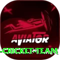 hong kong cricket team