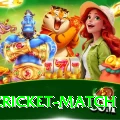 india cricket match Turbo v4.9.6