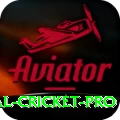 international cricket Bonus Premium v5.8.6