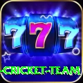 ireland cricket team Apps (Tools & Injectors) Max v3.1.3