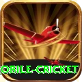 mobile cricket Deluxe Pro v5.2.6