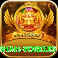 naseem shah yorkers Max v3.5.3