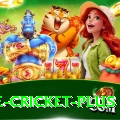 one cricket - Live King