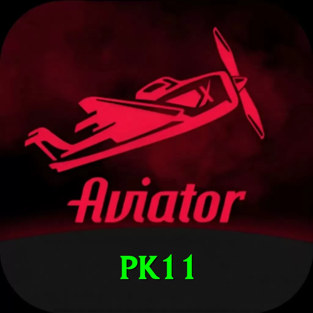 pk11 Pro v4.6.8 - 2