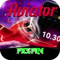pkspin Premium v3.2.6