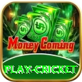 play cricket Apps (Tools & Injectors) Deluxe v1.1.3