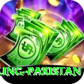 responsible gambling pakistan Apps (Tools & Injectors) Master v3.6.5