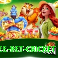 risk free bet cricket Plus Pro v5.8.2
