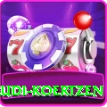 rudi koertzen Plus Edition v2.5.1
