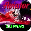 sehwag Max Pro v2.6.4
