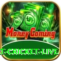 smart cricket live Plus v3.1.8