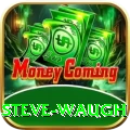 steve waugh Premium Edition v1.6.4