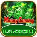 test cricket Pro Max v1.4.9