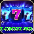 test cricket Casino Official v2.4.3