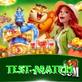 test match Premium v4.1.1