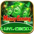 watch live cricket Games (Casino & Earning) VIP v3.4.6