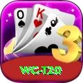 wc t20 Apps (Tools & Injectors) Premium v3.3.2