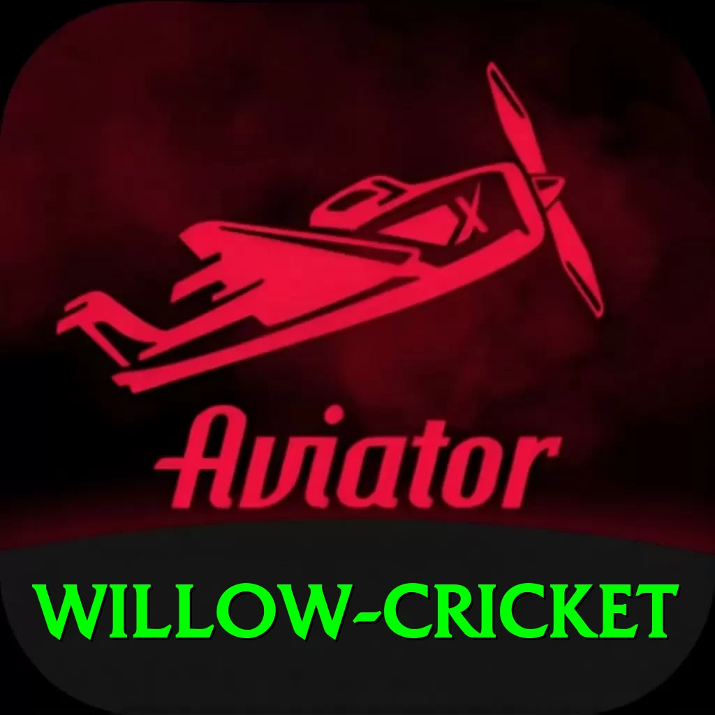 willow cricket Elite v5.4.2 - 2