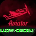 willow cricket Elite v5.4.2